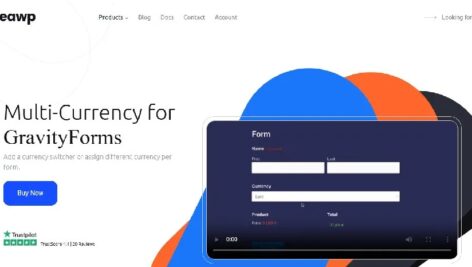 افزونه Multi-Currency for GravityForms